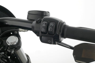 HARLEY DAVIDSON DYNA LOW RIDER S