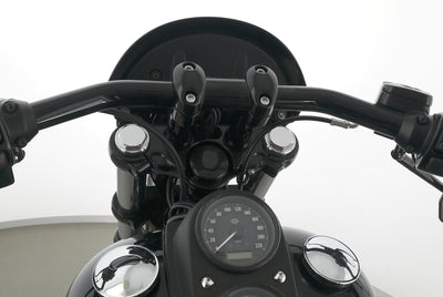 HARLEY DAVIDSON DYNA LOW RIDER S