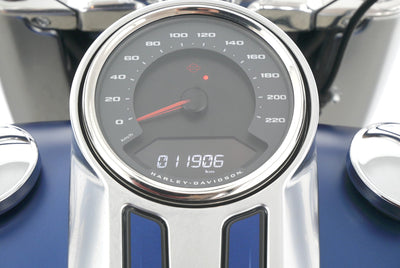 HARLEY DAVIDSON SOFTAIL FAT BOY 114