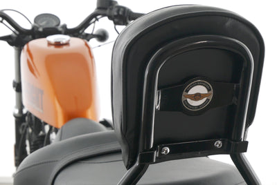 HARLEY DAVIDSON SPORTSTER XL 1200 48 FORTY