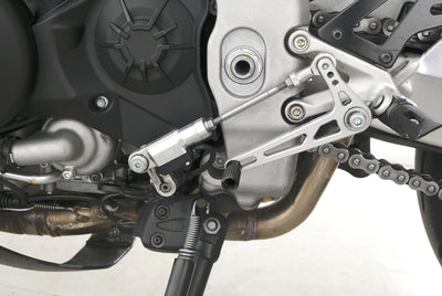 APRILIA TUONO V4 FACTORY