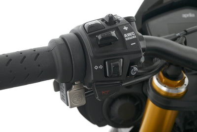 APRILIA TUONO V4 FACTORY