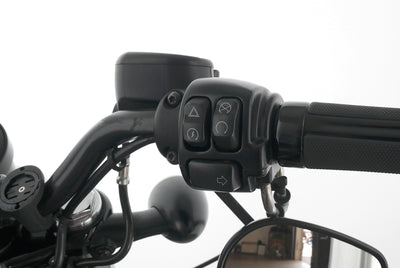 HARLEY DAVIDSON SPORTSTER XL 1200 48 FORTY