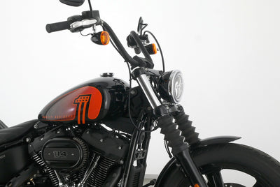 HARLEY DAVIDSON SOFTAIL STREET BOB 114