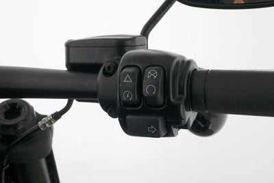 HARLEY DAVIDSON SOFTAIL FAT BOB 114