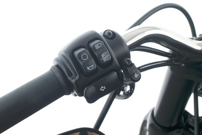 HARLEY DAVIDSON SPORTSTER XL 1200 CX ROADSTER