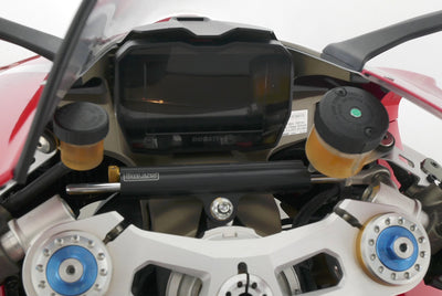 DUCATI PANIGALE V4 R