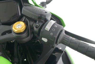 KAWASAKI ZX-4RR