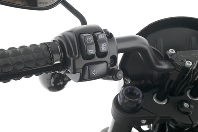 HARLEY DAVIDSON LOW RIDER S