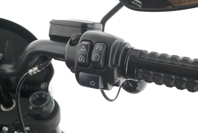 HARLEY DAVIDSON LOW RIDER S