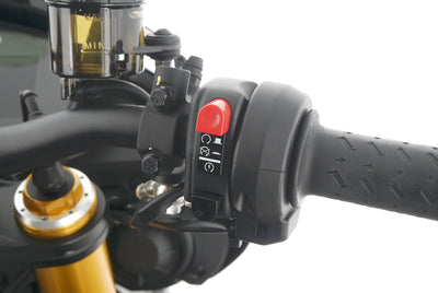 APRILIA TUONO V4 1100 FACTORY