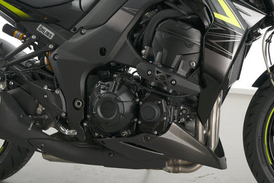 KAWASAKI Z 1000 R EDITION