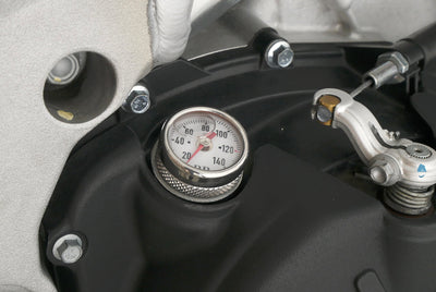 APRILIA TUONO V4 1100 FACTORY