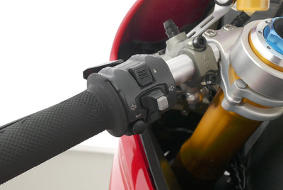 DUCATI 1199 PANIGALE R