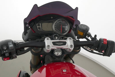 TRIUMPH SPEED TRIPLE 1050 S