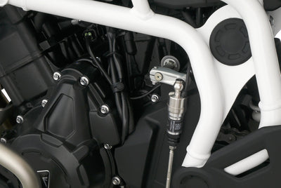 TRIUMPH TIGER 900 RALLY PRO