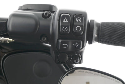 HARLEY DAVIDSON ROAD GLIDE ST 117