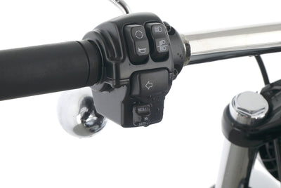 HARLEY DAVIDSON SOFTAIL BREAKOUT 117