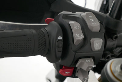 TRIUMPH TIGER 900 RALLY PRO