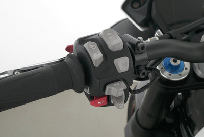 TRIUMPH SPEED TRIPLE 1050 RS