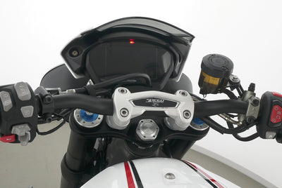TRIUMPH SPEED TRIPLE RS