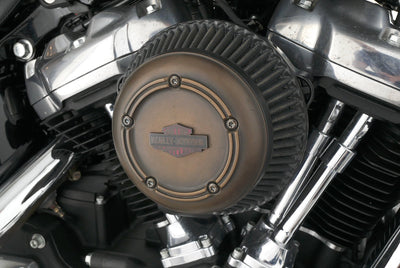 HARLEY DAVIDSON SOFTAIL SLIM
