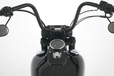 HARLEY DAVIDSON DYNA FAT BOB