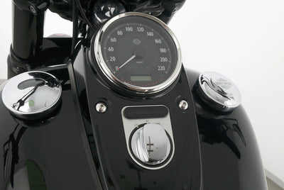 HARLEY DAVIDSON DYNA FAT BOB