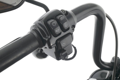 HARLEY DAVIDSON DYNA LOW RIDER S