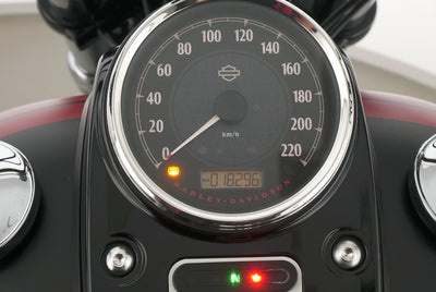 HARLEY DAVIDSON DYNA FAT BOB