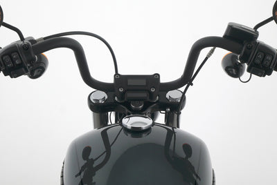 HARLEY DAVIDSON SOFTAIL STREET BOB