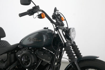 HARLEY DAVIDSON SOFTAIL STREET BOB