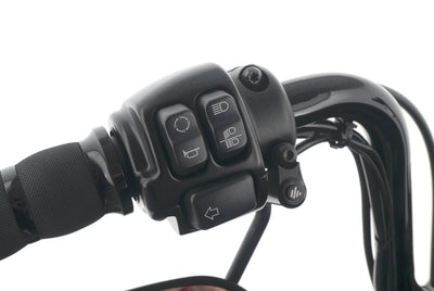 HARLEY DAVIDSON SPORTSTER XL 1200 FORTY