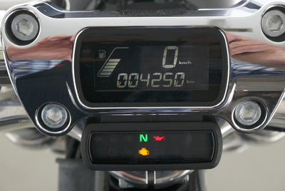 HARLEY DAVIDSON SOFTAIL STANDARD