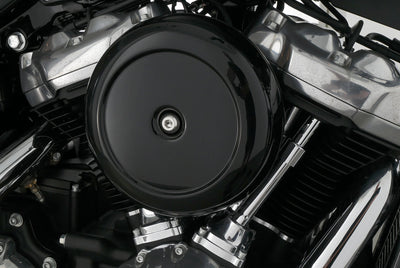 HARLEY DAVIDSON SOFTAIL STANDARD