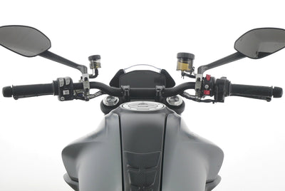 DUCATI MONSTER