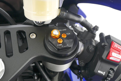 YAMAHA YZF R1 RN65
