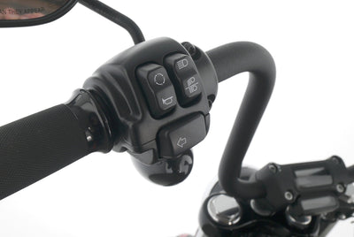 HARLEY DAVIDSON SOFTAIL STREET BOB 114