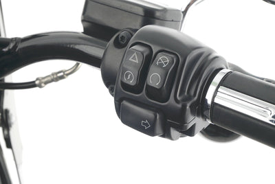 HARLEY DAVIDSON SOFTAIL SLIM