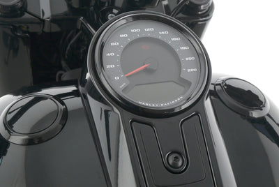 HARLEY DAVIDSON FAT BOY 114