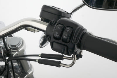 HARLEY DAVIDSON DYNA LOW RIDER