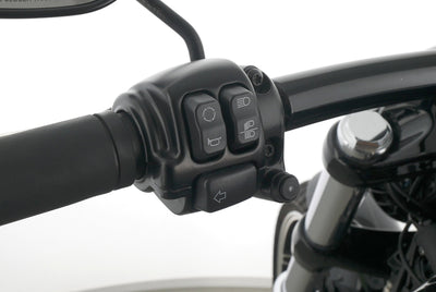 HARLEY DAVIDSON SOFTAIL BREAKOUT 114