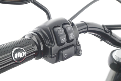 HARLEY DAVIDSON SOFTAIL STREET BOB