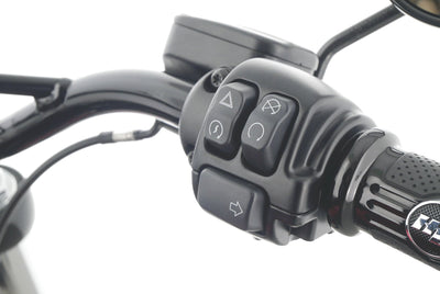 HARLEY DAVIDSON SOFTAIL STREET BOB