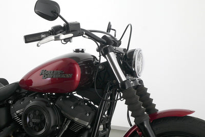 HARLEY DAVIDSON SOFTAIL STREET BOB