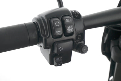 HARLEY DAVIDSON SOFTAIL FAT BOB 114