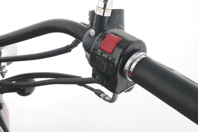 KAWASAKI VN 800 C DRIFTER