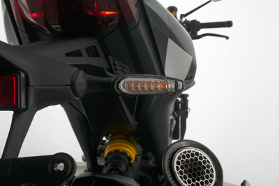 DUCATI MONSTER + PLUS