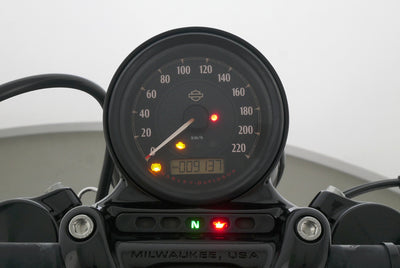 HARLEY DAVIDSON SPORTSTER XL 1200 48 FORTY