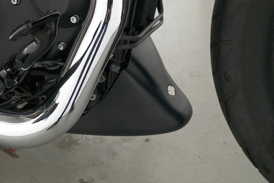 HARLEY DAVIDSON SPORTSTER XL 1200 48 FORTY